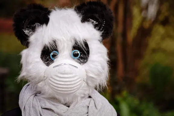 Kazino of Dreams Pagalba